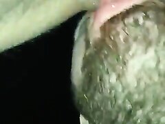 Creampie And Rimming