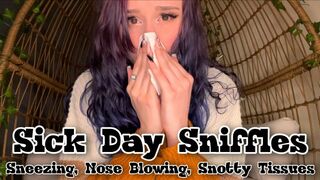 Sick Day Sniffles Sneezing And Nose Blowing