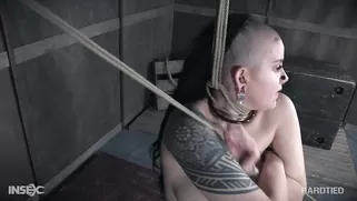 Hard Tied BBW With Tattoos And Pierced Pussy Is Getting In The Dungeon