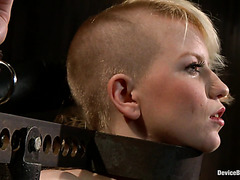 Humiliating Head Shaving Of Cute Blonde Slave Alana Pi