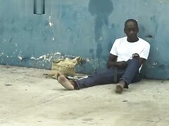 Crazy Jamaican Man Beating His Dick In Broad Daylight