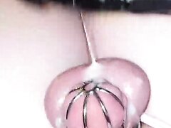 Sissy Slap Balls With Huge Bbc Dildo