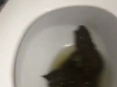 Woman Clogged Toilet With Her Beautiful Logs