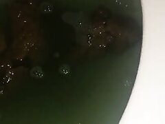 Woman Clogged Toilet With Her Beautiful Logs