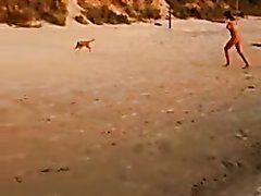 Based Dog Steals Bathing Suit From Beach Bimbo