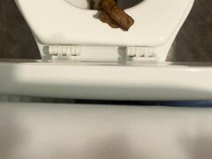 Toilet Poop   Video 191