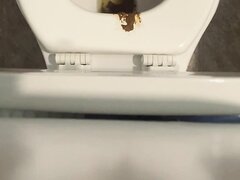 Toilet Poop   Video 191