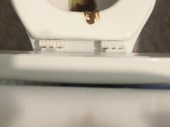 Toilet Poop   Video 191