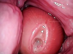 Tiny Man Inside Giantess Vagina During Cuckold