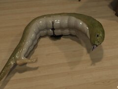 Weird Worm Transformation