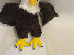 Giving An Eagle A Golden Bath