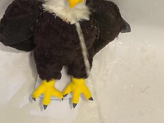 Giving An Eagle A Golden Bath