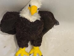 Giving An Eagle A Golden Bath