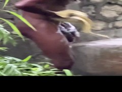 Monster Cock Jamaican Trade Bathing In Public