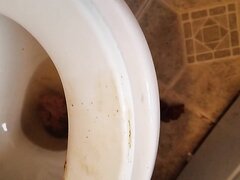 Ebony Bbw Creamy Shit On Toilet Seat