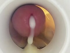 Cumming In A Fleshlight Pov