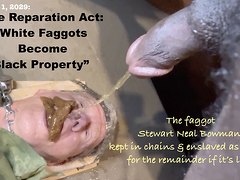 Fag Stewart Becomes A Black Man’s Toilet Property