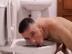 Licking Toilet Faggot