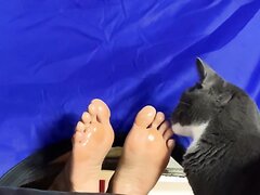 Cat Licks Girl’s Feet